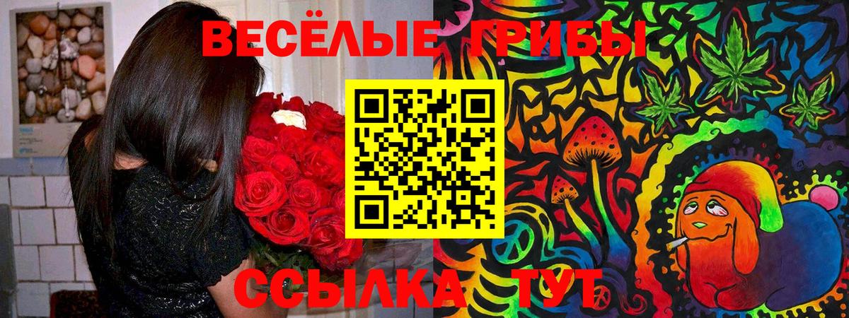 Галлюциногенные грибы MAGIC MUSHROOMS  Галлюциногенные грибы Magic Shrooms  Тара  Вход с VPN 